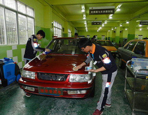 东莞专业学习汽车玻璃修复培训班